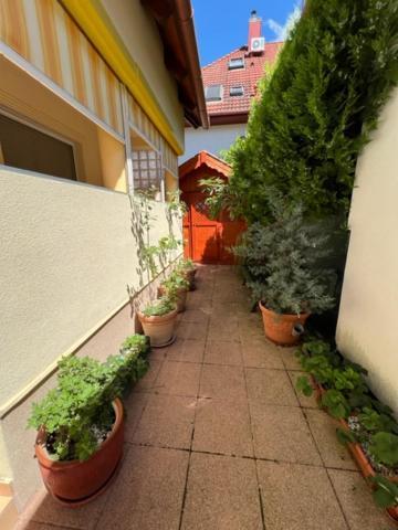 Sofi Appartment Hévíz Εξωτερικό φωτογραφία